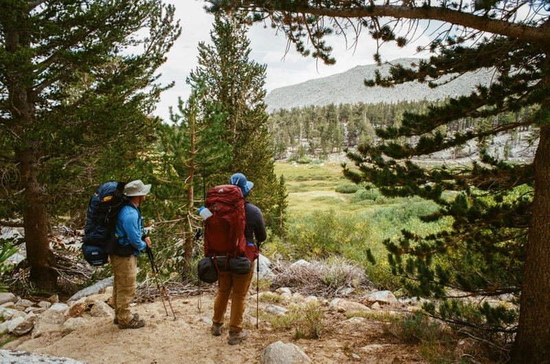 Taking in the handsome meadow on the north side of Flat Top