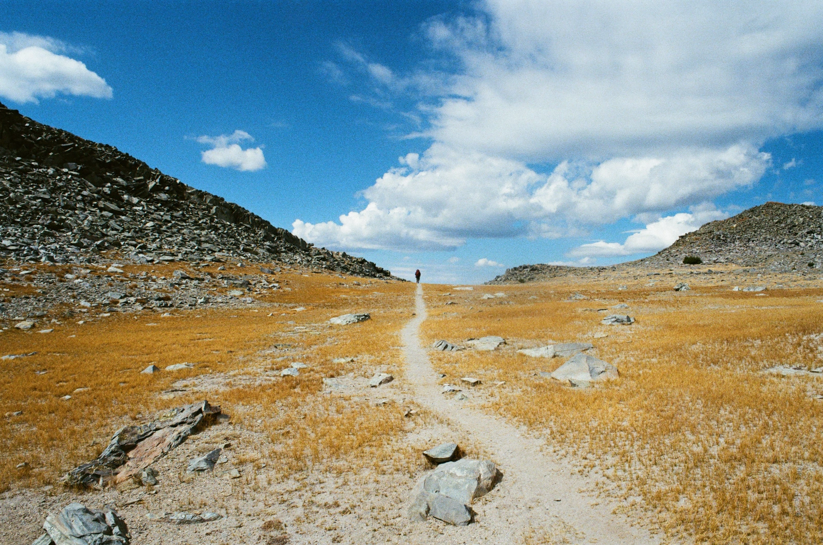 Not pictured: gale-force winds