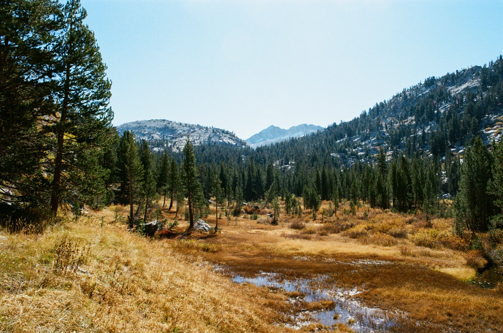 Looking back up at Mt Izaak Walton from Fish Creek