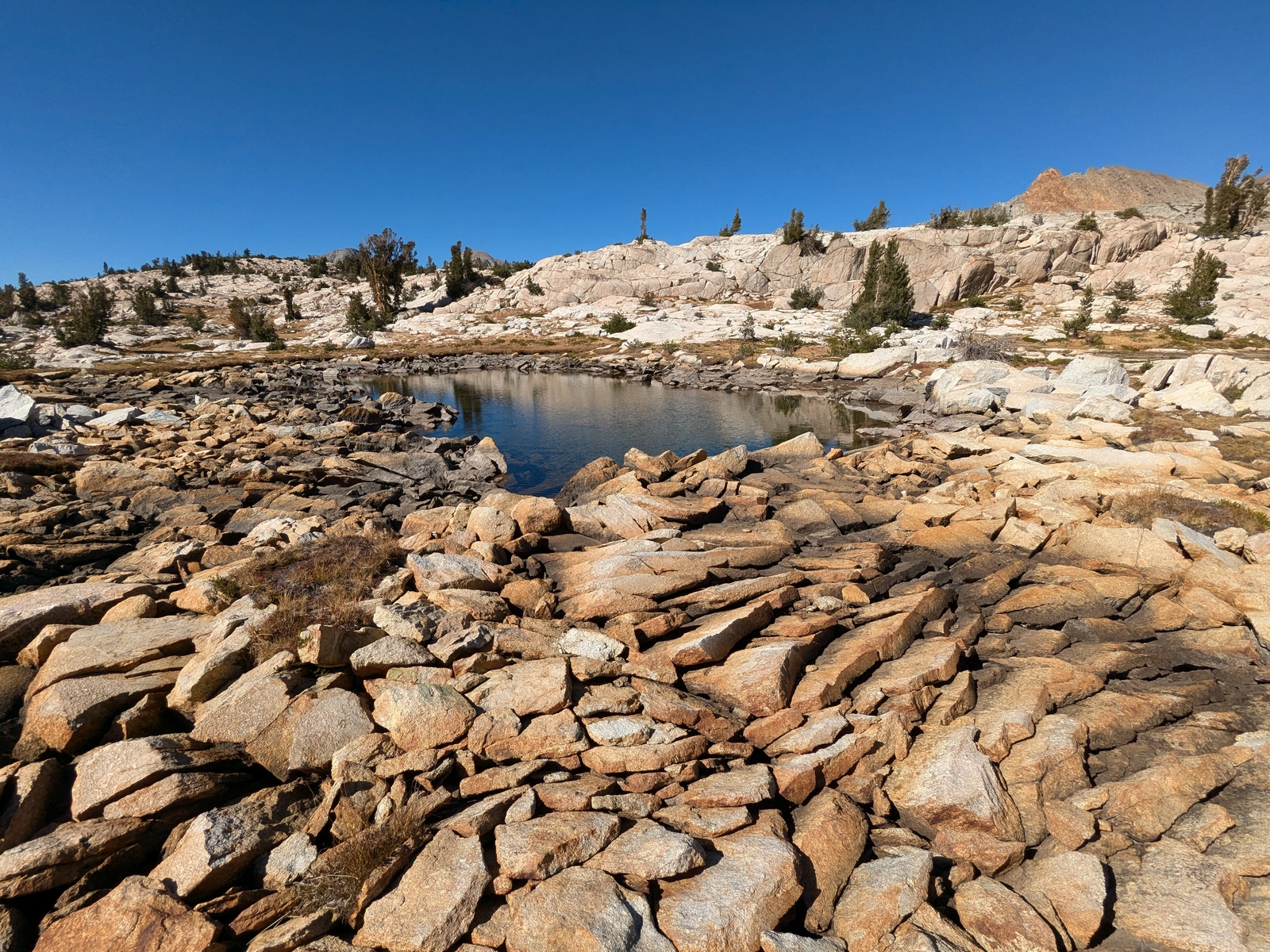 Doesn't this look like it should be nice and sun-warmed??