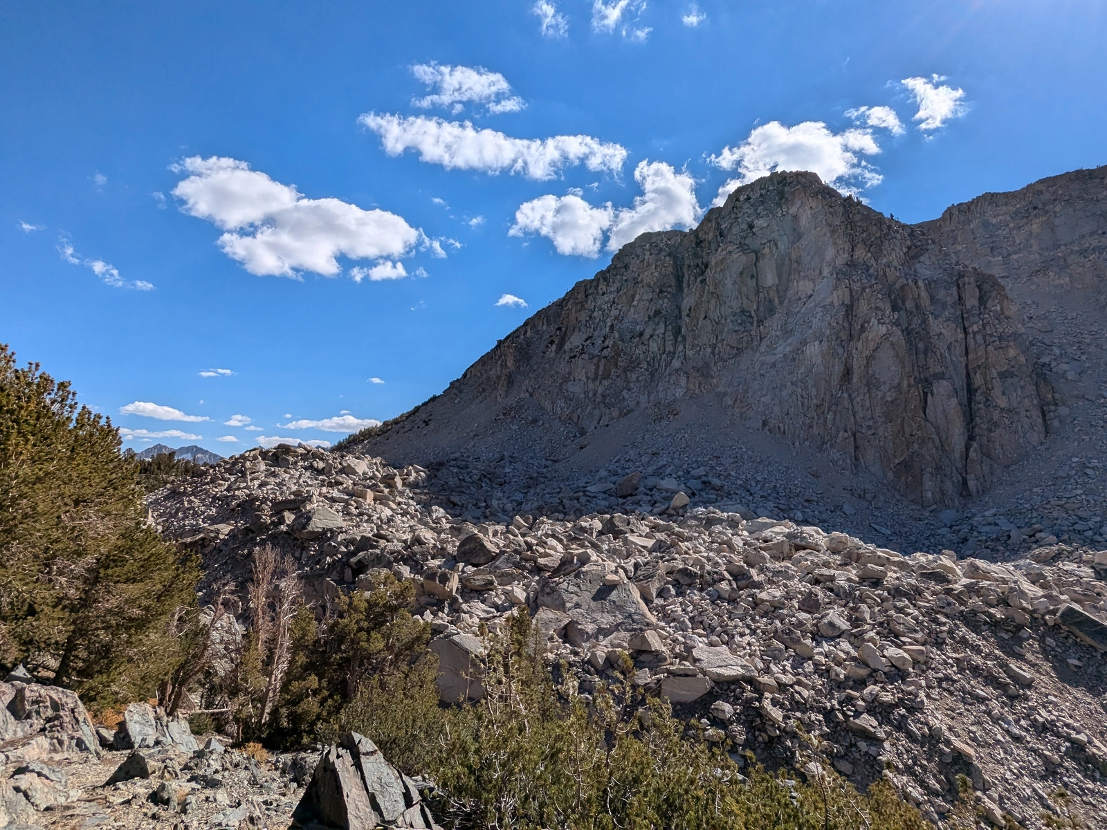 There's a sizable boulder field below Virginia Crag Peak, near the trail. I wonder how recently they fell.