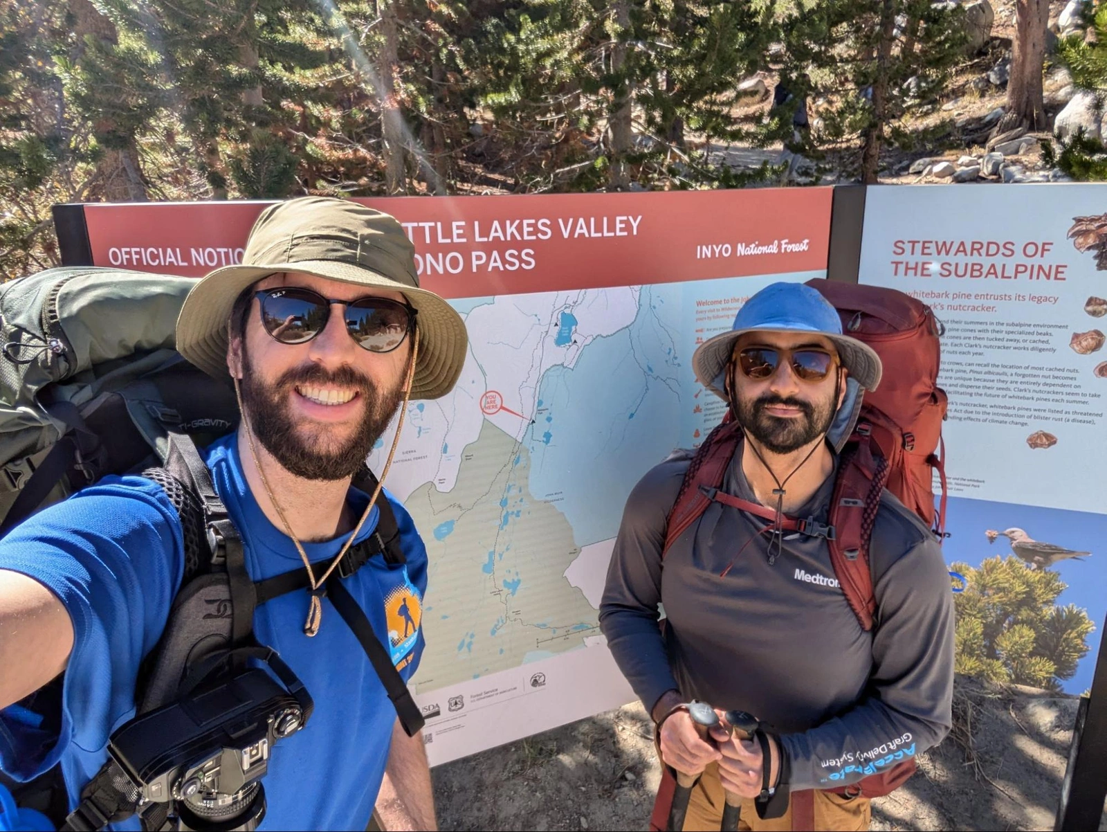 Back for more punishment