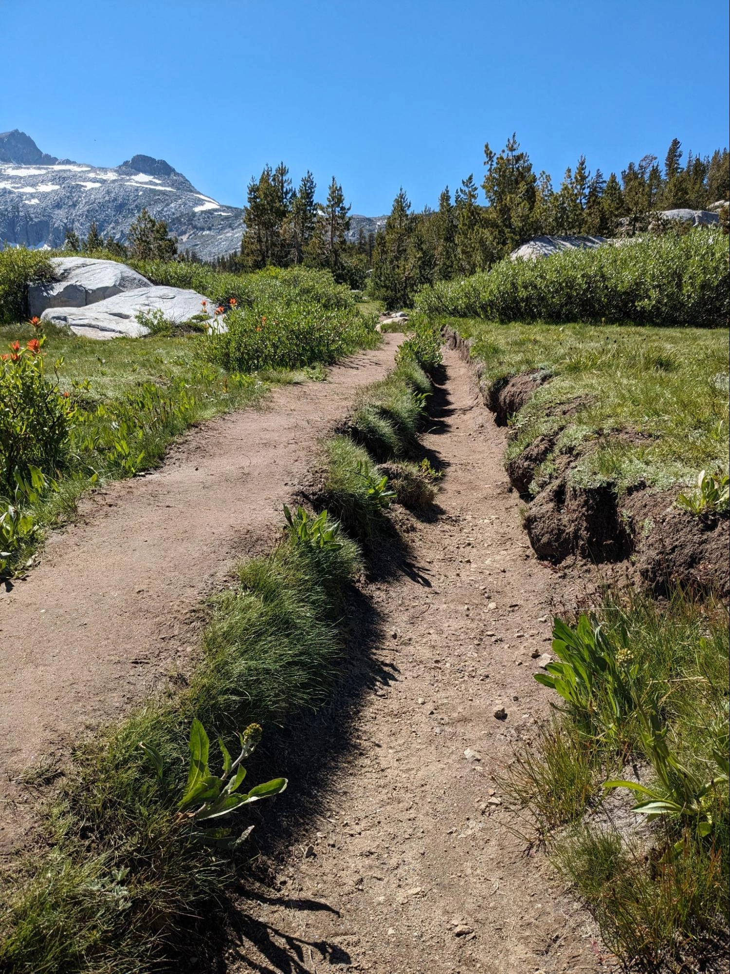 That's a lot of steps.