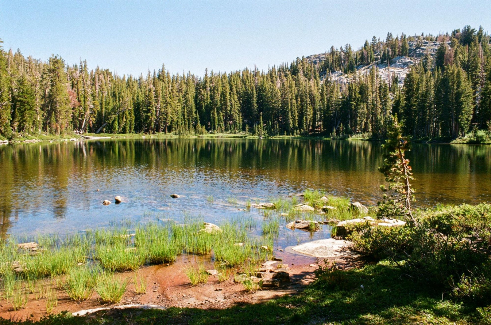 Our slice of beach on Gladys Lake