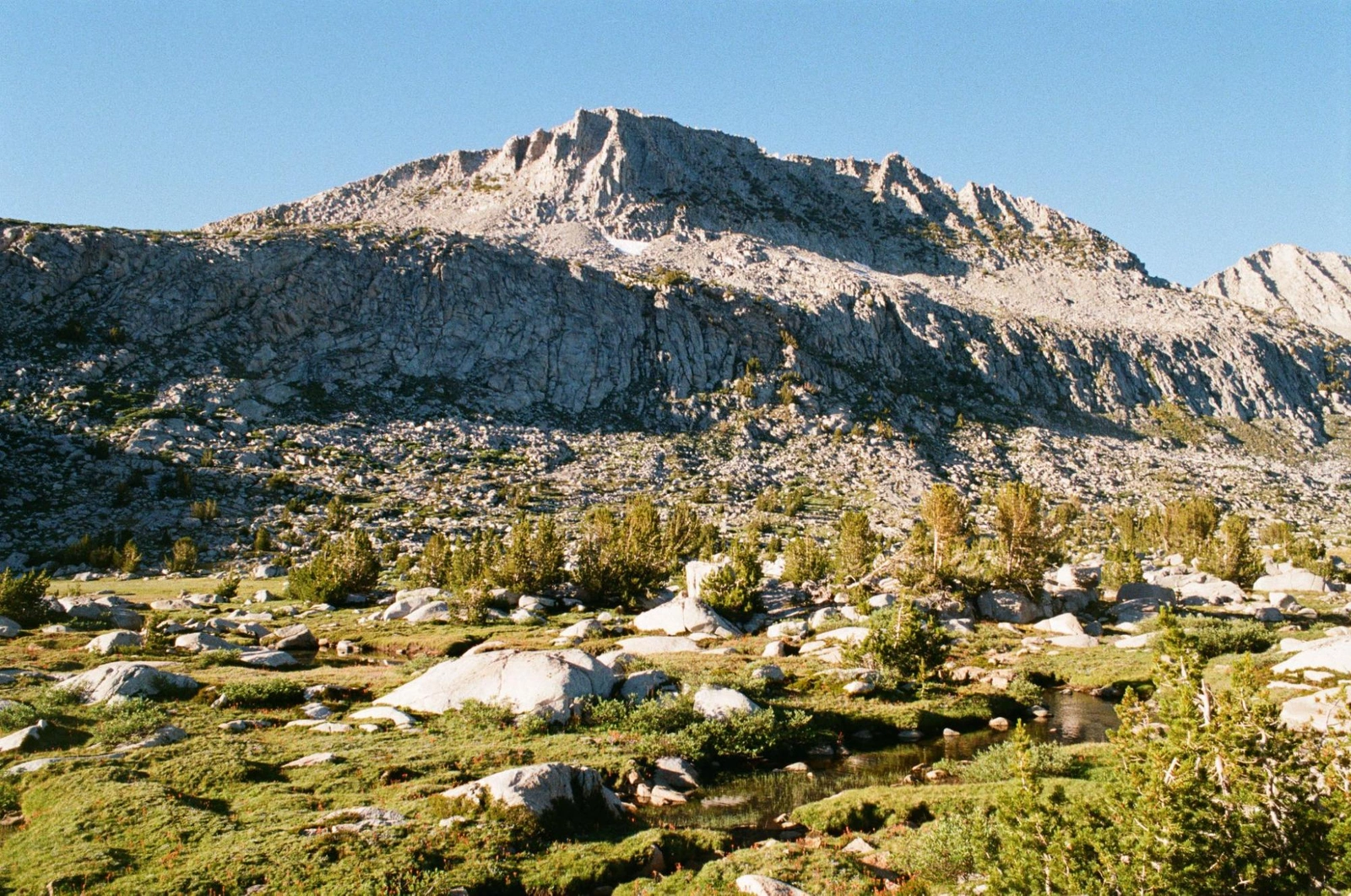 Donohue Peak from camp