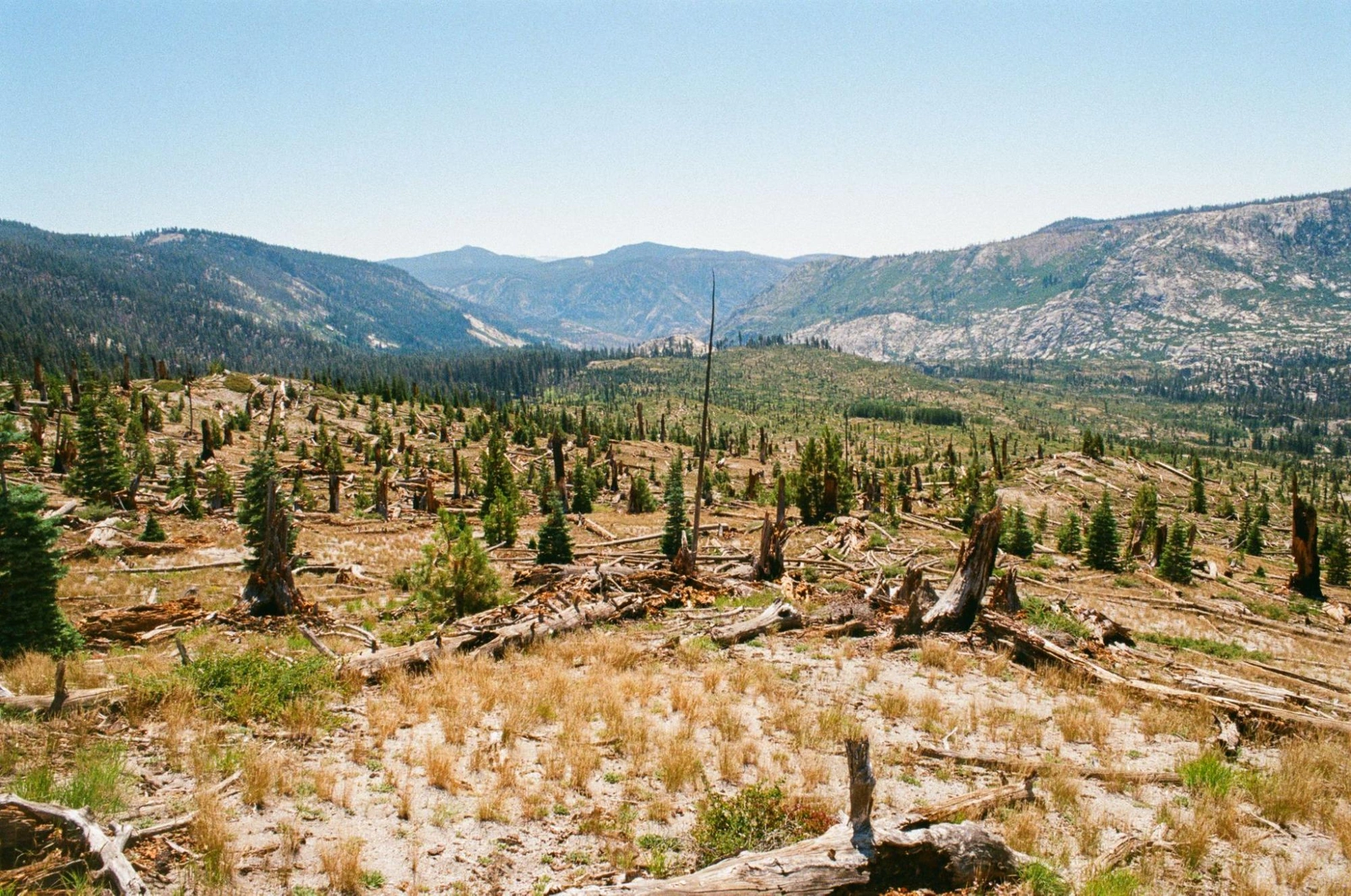 View left (south) towards Fish Creek