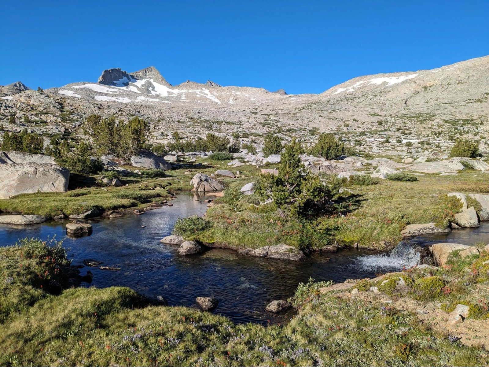 A gorgeous creek near our camp, with Donohue Pass behind