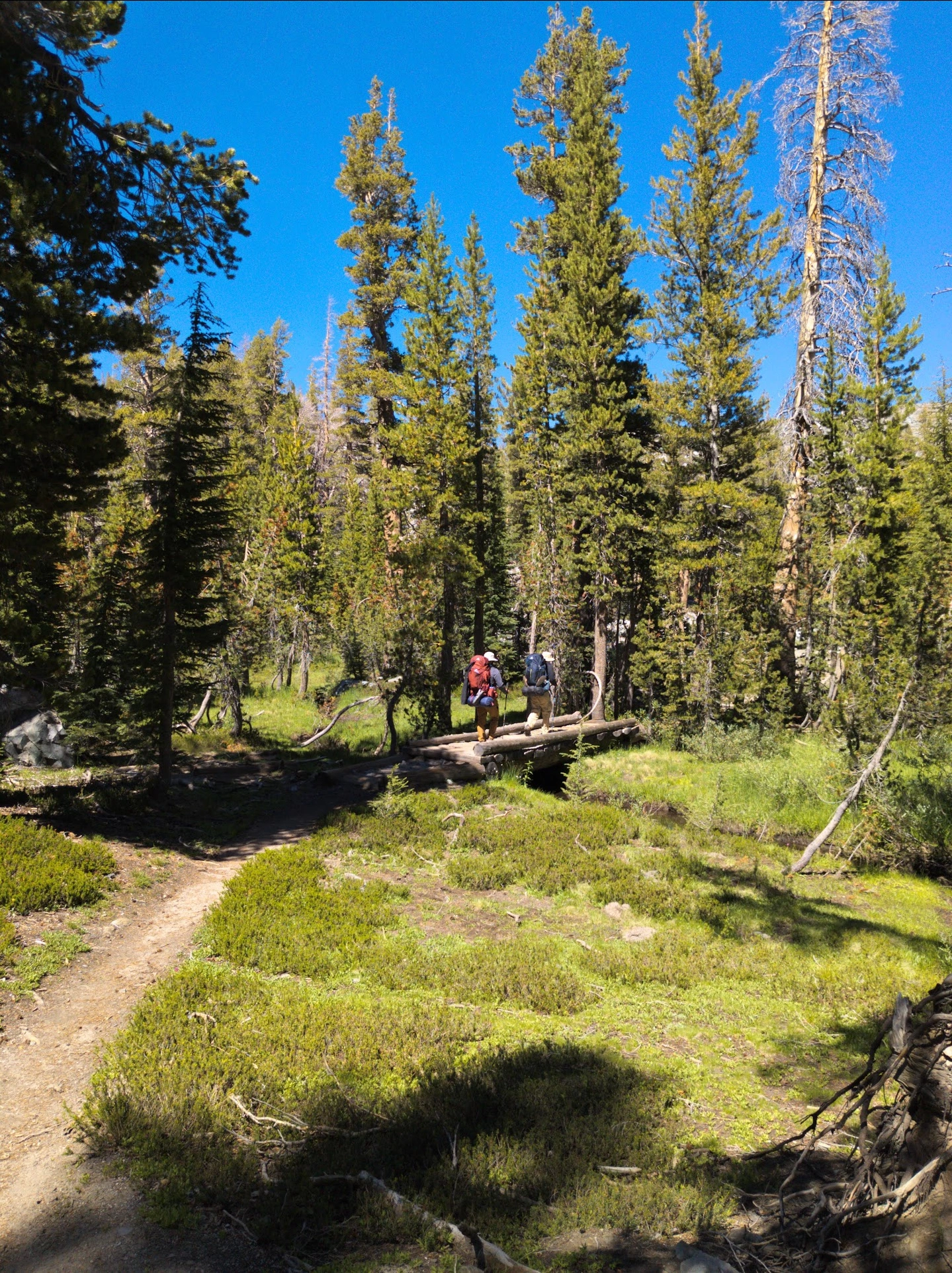Footbridge near Vivian Lake