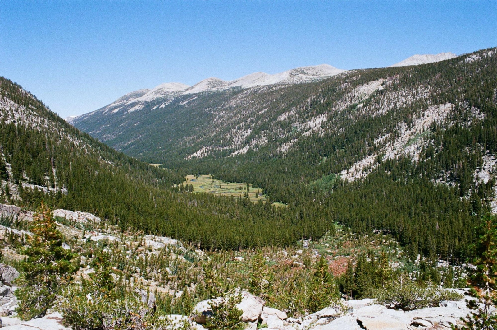 Lyell Fork and an avalanche scar (bottom right) in Lyell Canyon