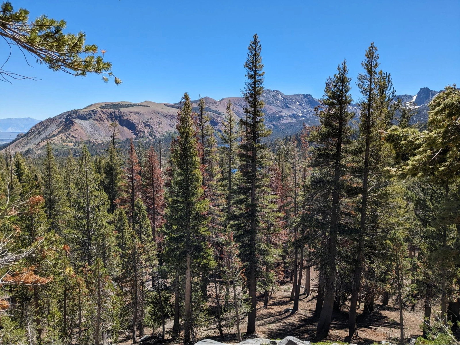 View of the ridge east of Lake Mary and friends, from the high point of Mammoth Pass