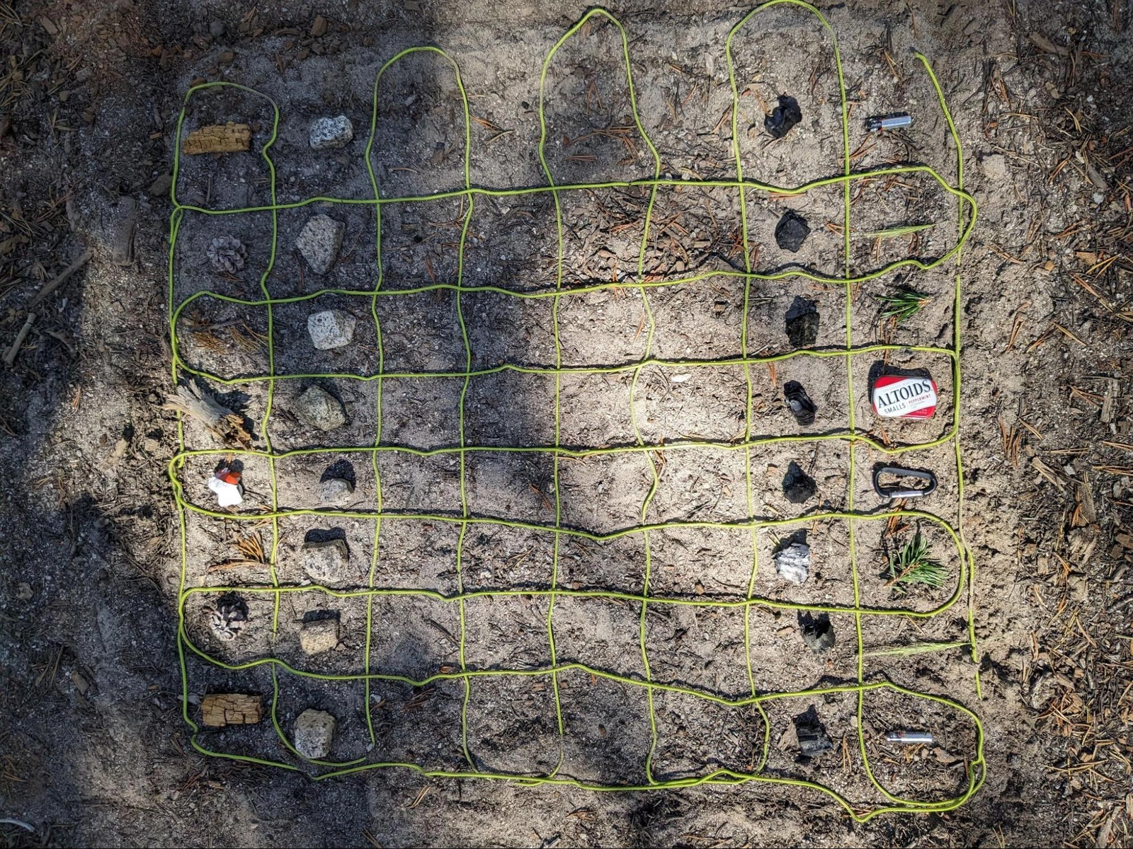 Wilderness chess