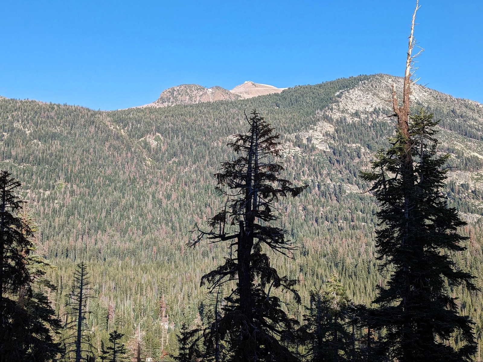 Another peek at Mammoth