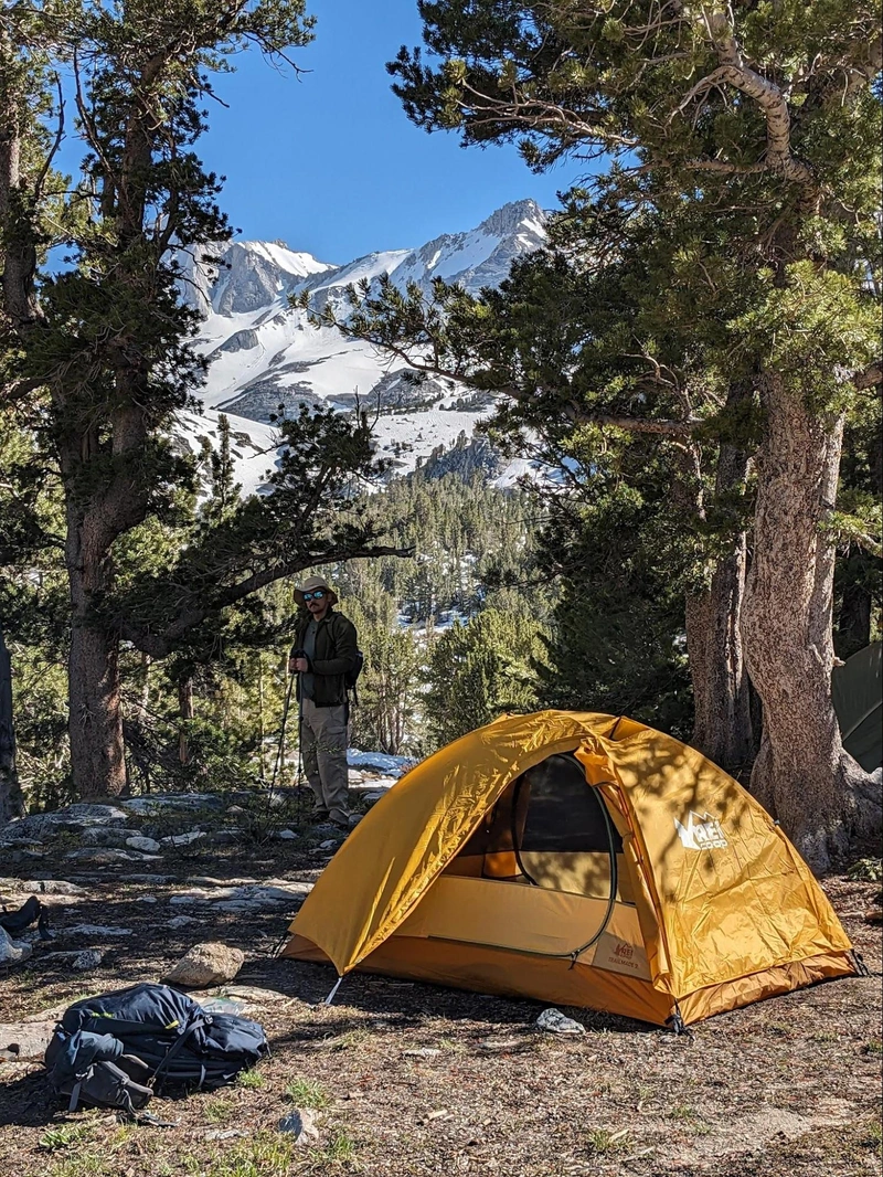 David at camp