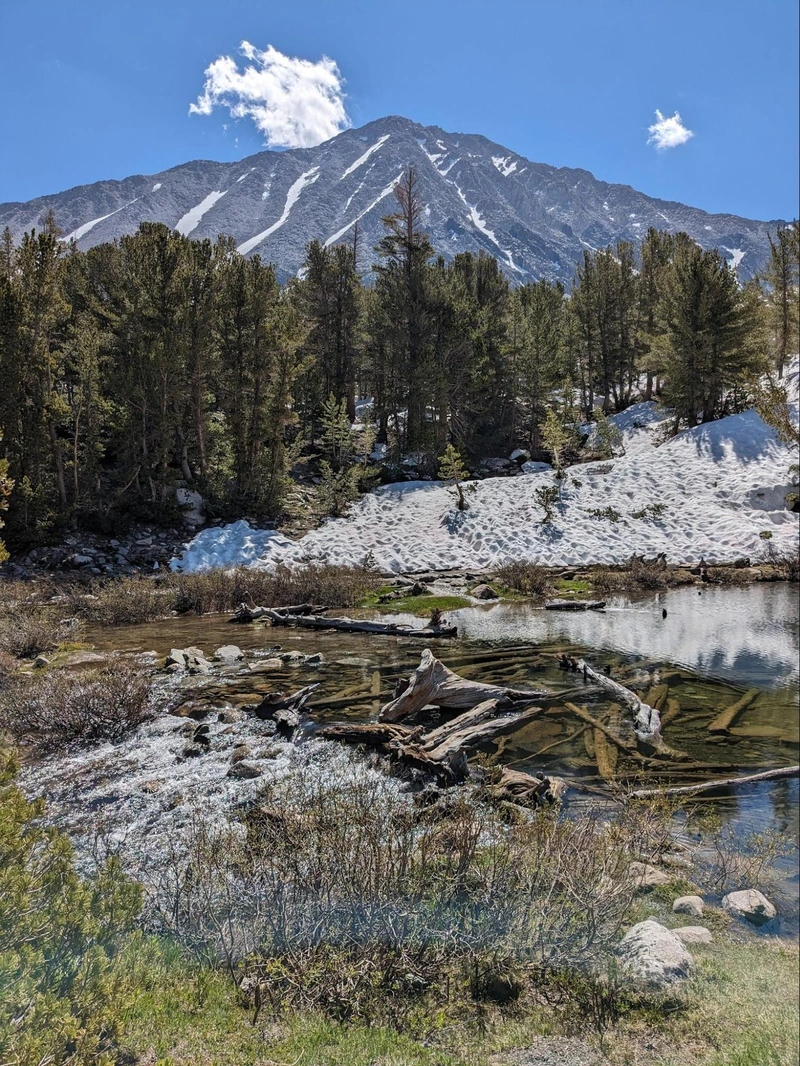 Timber and snowbank at the outlet of Long Lake