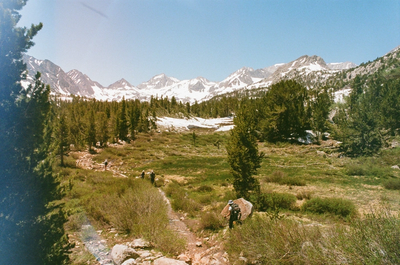 A handsome meadow, with the snowfield visible in the distance