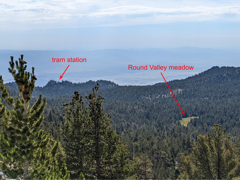I can see camp from here!