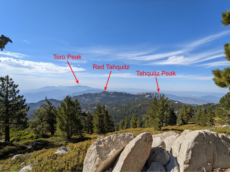 View from Wellman Divide