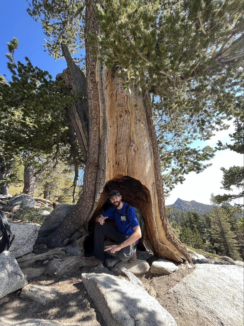 We found a cool tree house for me to live in