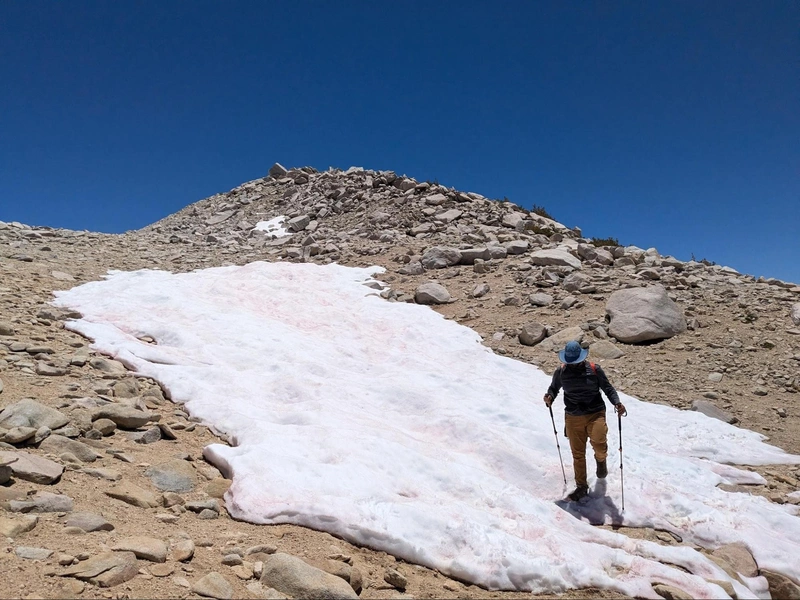 Chris tackling some watermelon snow