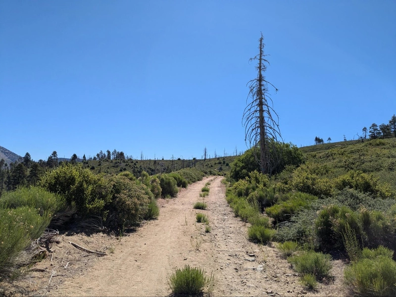 Fire road