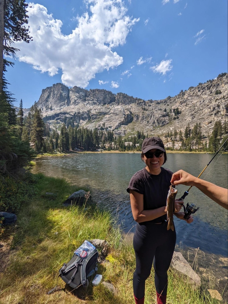 Caught some brookies for lunch