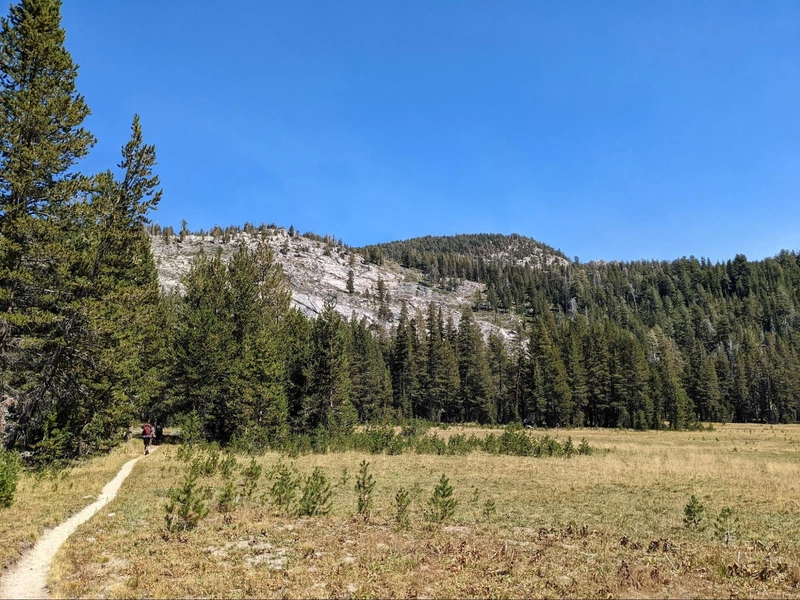 The trail continues around the western edge of the meadow