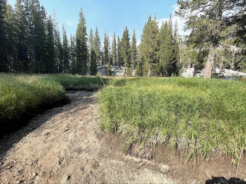 A neat little dry creek bed meandering through a meadow (8) on the way to Lake 4