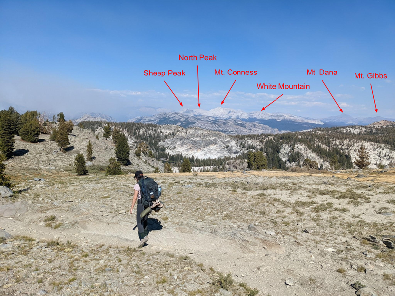 Mt Dana spotted!