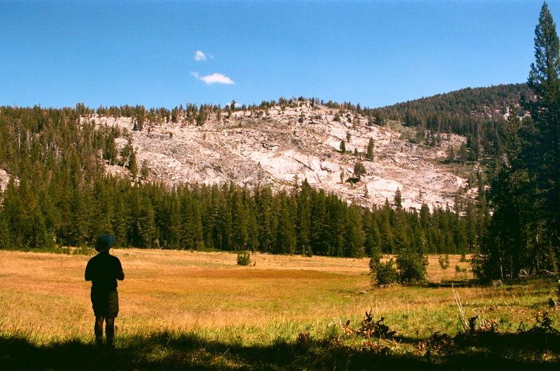 Halfmoon Meadow